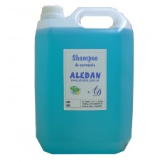 Shampoo de Auto de 5 litros